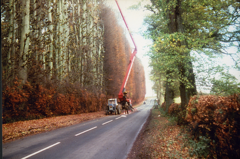 https://uploads.prod01.london.platform-os.com/instances/951/assets/Beech Hedge Meikleour